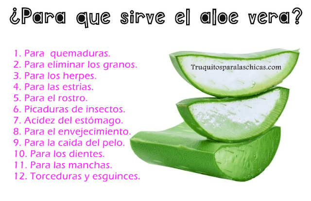 aloe vera aloe vera